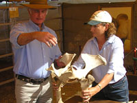 Debbie assists Albert Hancock with his demonstration of bone placement in a maternal cow at Beef 2009 Fairy Springs site