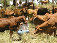 Sarah with cows and calves